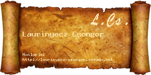 Laurinyecz Csongor névjegykártya